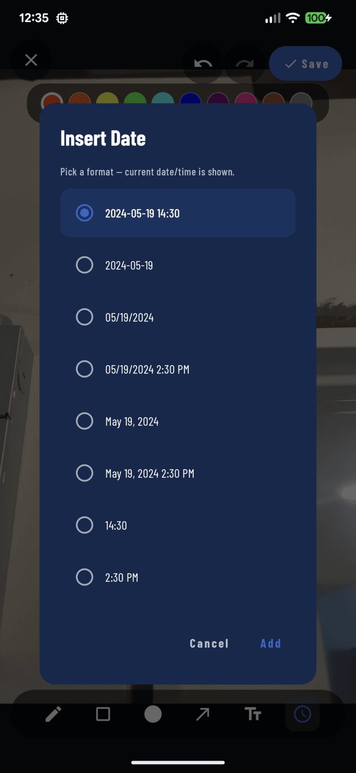 Insert Date dialog with the date format picker