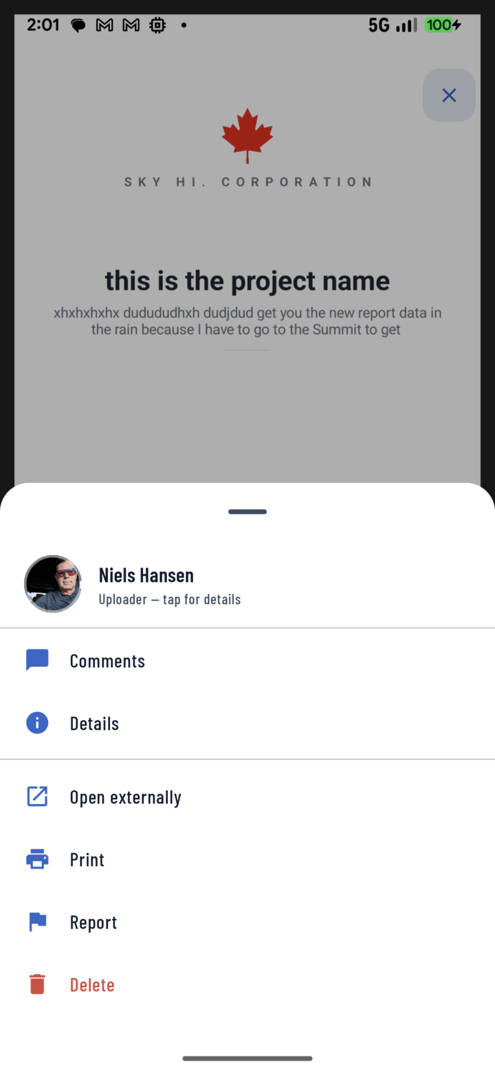 Open document action menu with a Print option