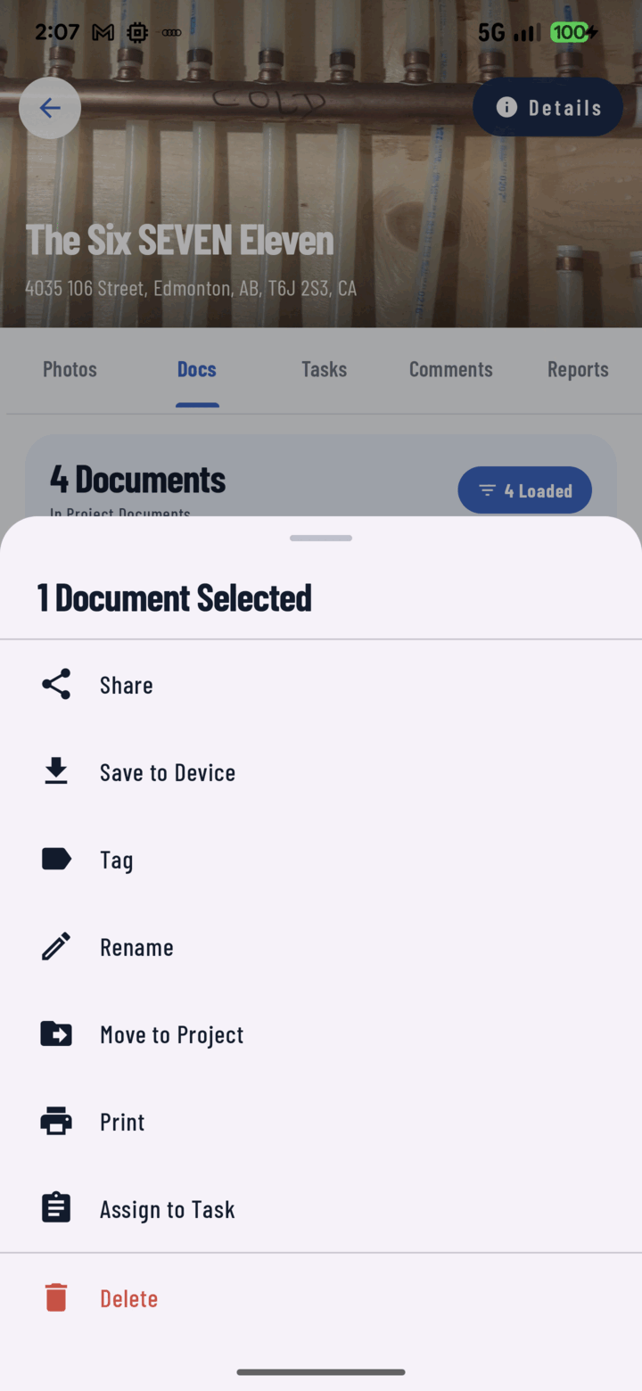 Document actions sheet showing a Move to Project option