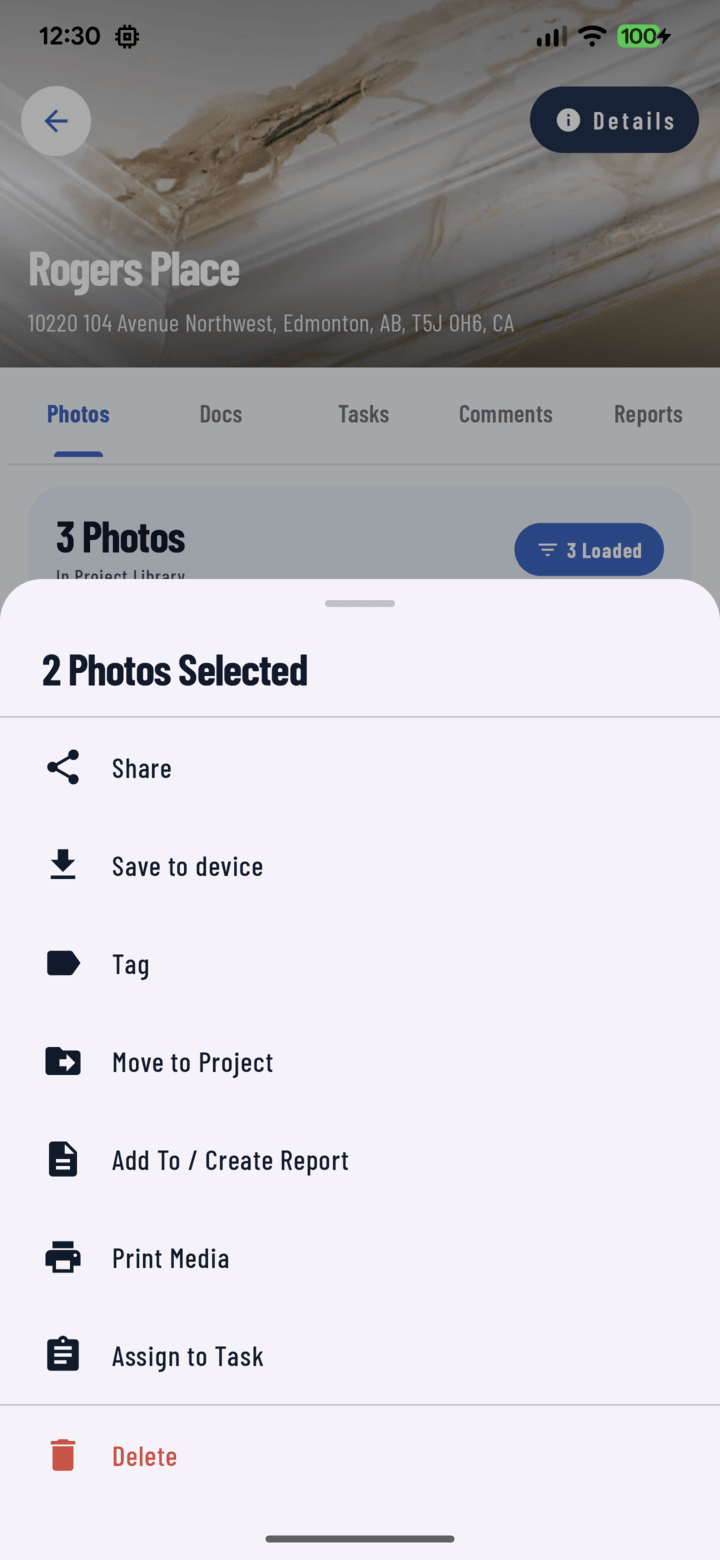 Bulk actions sheet with the Add To / Create Report action