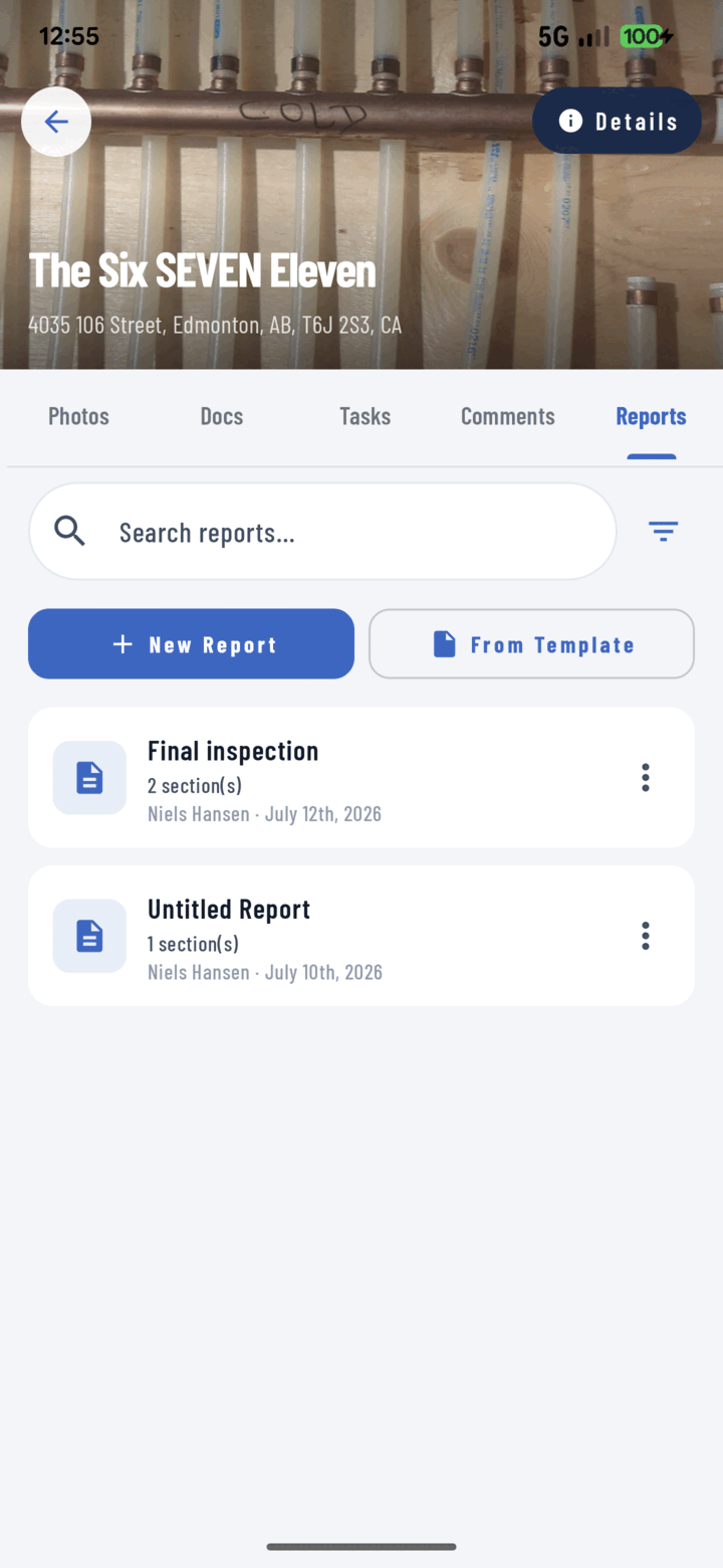 Project Reports tab with a From Template button beside New Report